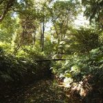 La Concepción Jardín Botánico-Histórico de Málaga © James Souza