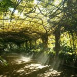 La Concepción Jardín Botánico-Histórico de Málaga © James Souza