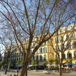 Plaza de la Merced © Belén Carrasco de las Heras