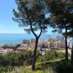 Vistas Malaga Gibralfaro © Domingo Mérida 