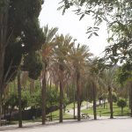 Parque San Miguel Malaga © Area Parques y Jardines